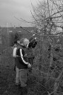 DTL: Opleidingen